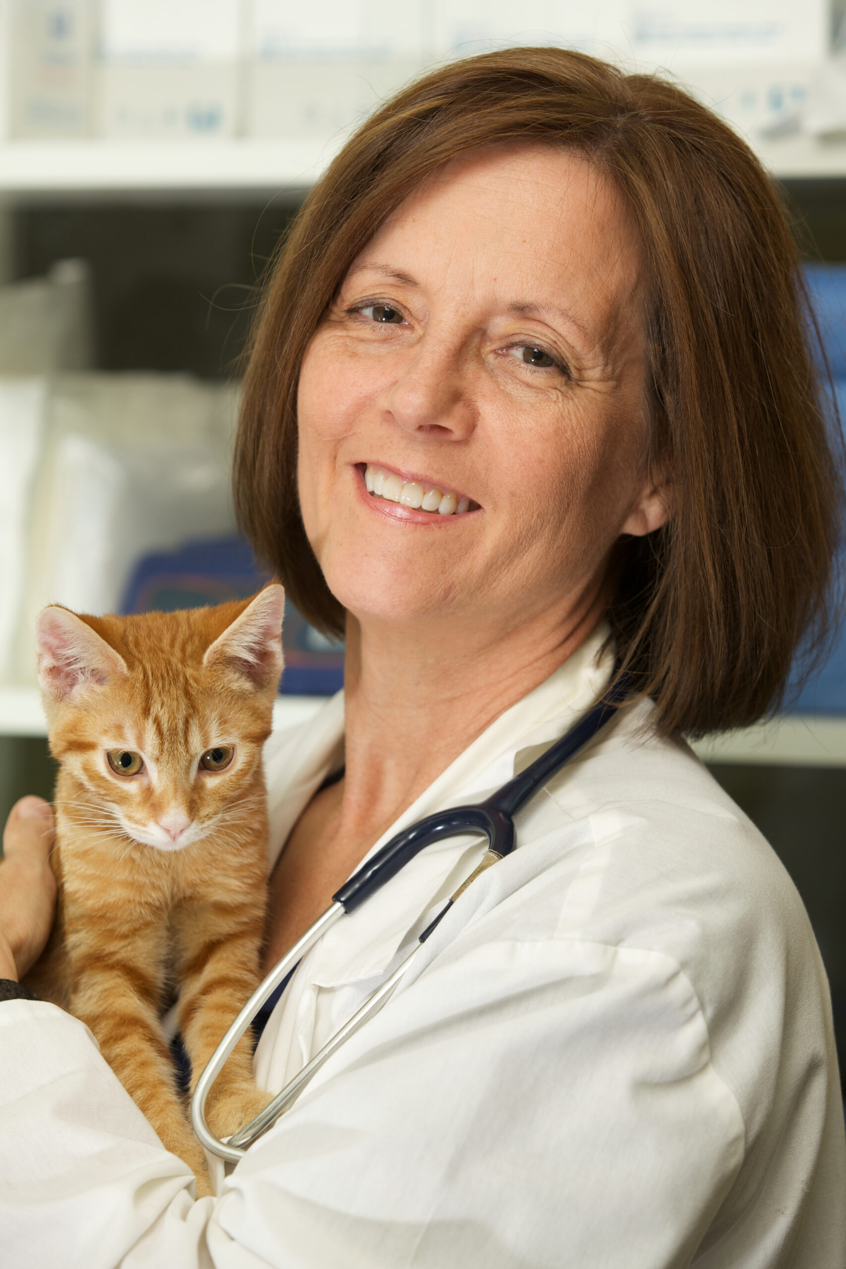Dr. Diana Jones holding a kitten at PETSURG and ER4PETS in San Diego, CA Dr. Diana Jones in a white coat holds an orange tabby kitten at a veterinary clinic in San Diego, CA